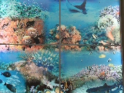 okean-2.jpg